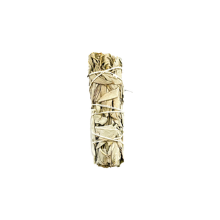 White Sage Smudge