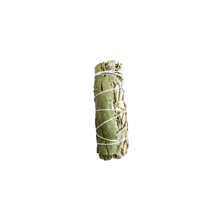 White Sage & Eucalyptus Smudge