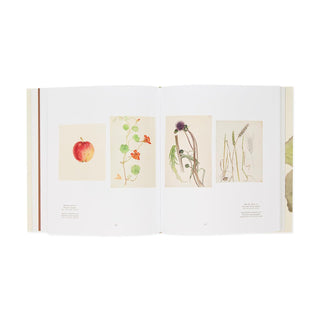 Hilma af Klint: What Stands Behind the Flowers