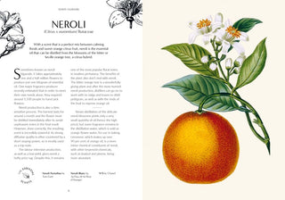 Fragrance: From Plant to Perfume