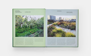 The Contemporary Garden
