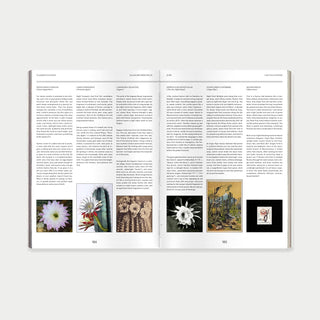 Pleasure Principles: An Almanac from the Garden
