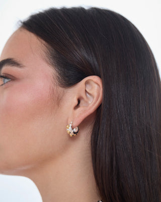 Studs Hoops