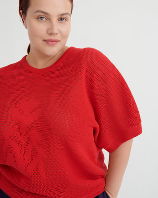 Ariel Top