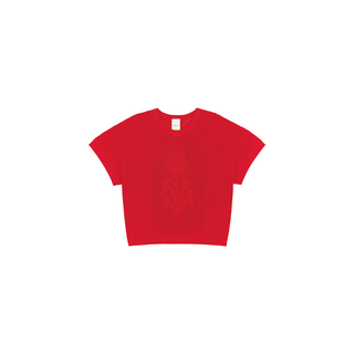 Ariel Top