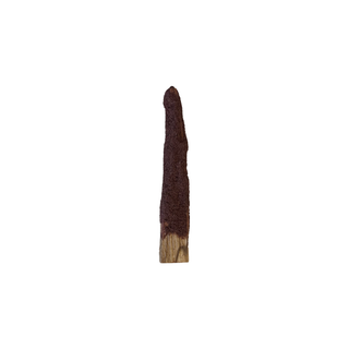 Dragon's Blood Dipped Palo Santo Stick