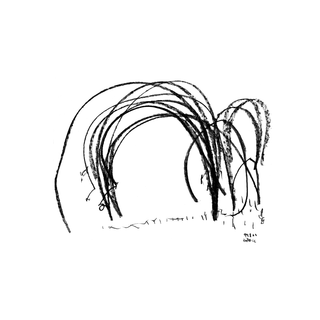Drawing Sound 02