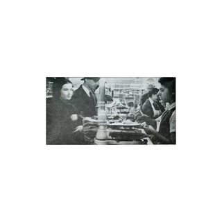 Dried Fruits Dark Chocolate