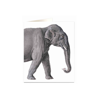 Elephant Card