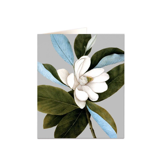 Magnolia Virginiana Card