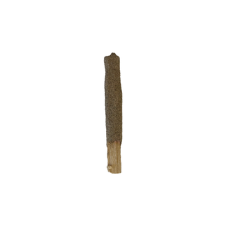 White Sage Dipped Palo Santo Stick