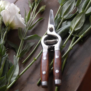 Redwood Flower Snips