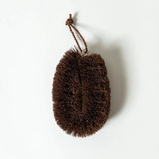 Shuro Kitchen Brush