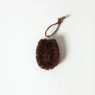 Shuro Kitchen Brush