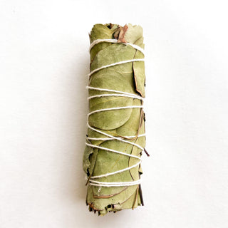 Eucalyptus Smudge Stick